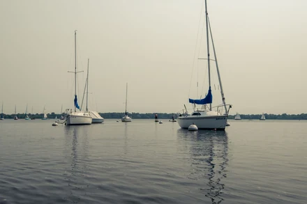 Sailboats on a flat, greyish marina